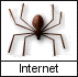 Rede e Internet