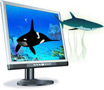 3D
                Marine Aquarium Screensaver Preview